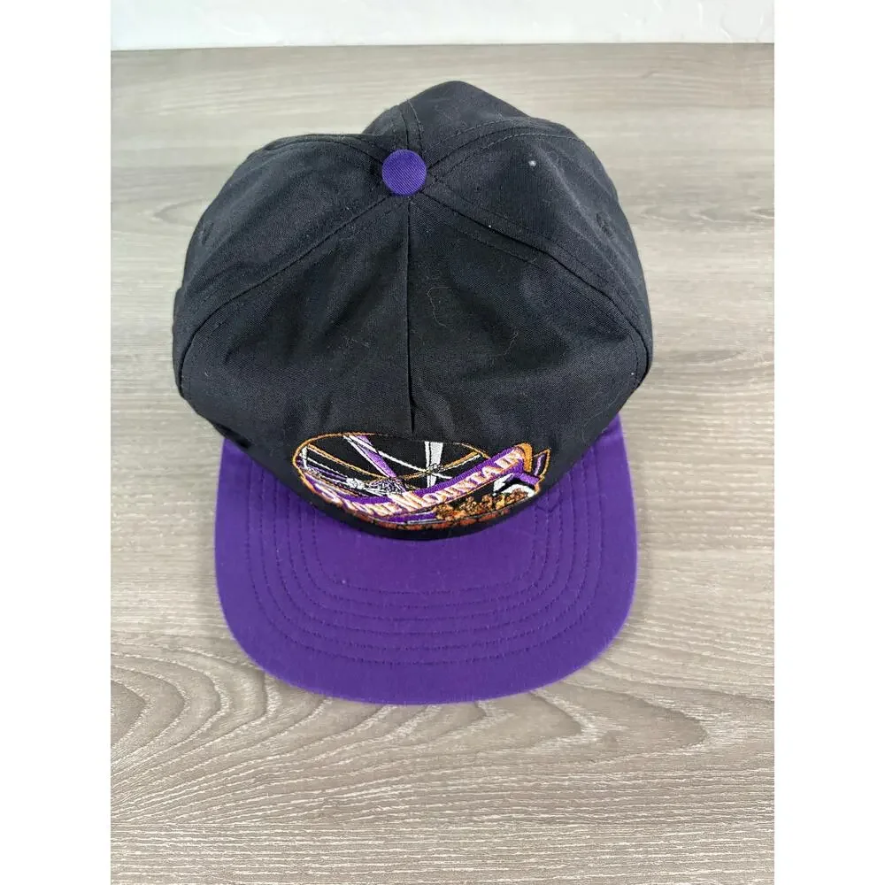 Vintage Stone Mountain Georgia Snapback Hat‎ Purple Ferris Wheel Embroidered USA